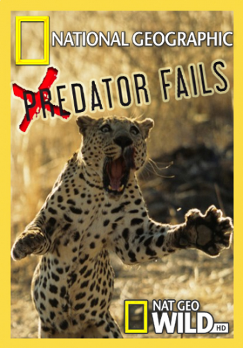 Неудачи хищников (1-3 серии из 3) / Predator Fails VO