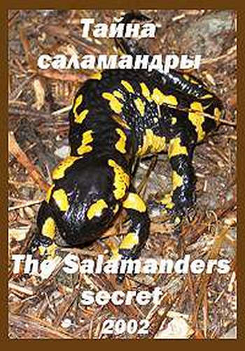 Тайна саламандры / The Salamander's secret VO