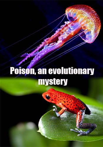 Яд. Достижение эволюции (1-3 серии из 3) / Poison, an evolutionary mystery VO