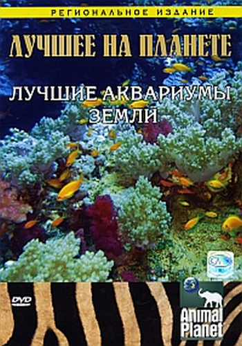 Лучшее на планете. / The best on the planet. Top Aquaria land DVO