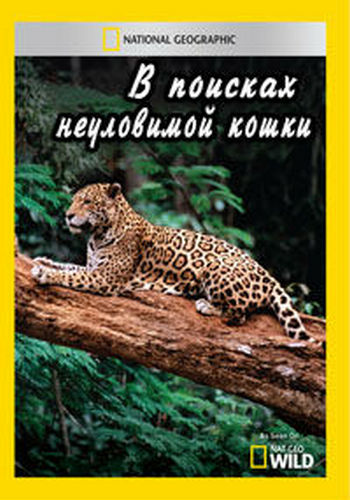 В поисках неуловимой кошки / Hunt for the Shadow Cat DUB