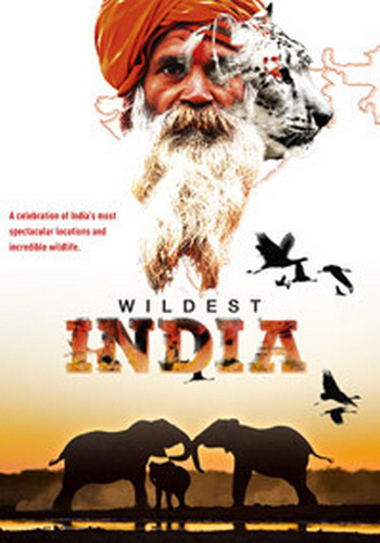 В дебрях Индии (3 серии из 5) / Wildest India DUB