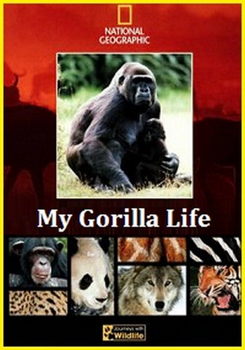 Моя жизнь с гориллами / My Gorilla Life DUB