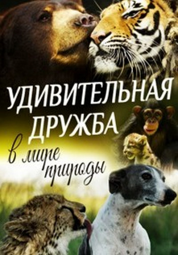 Удивительная дружба в мире природы (1-4 серии из 4) / World's oddest animal couples DVO