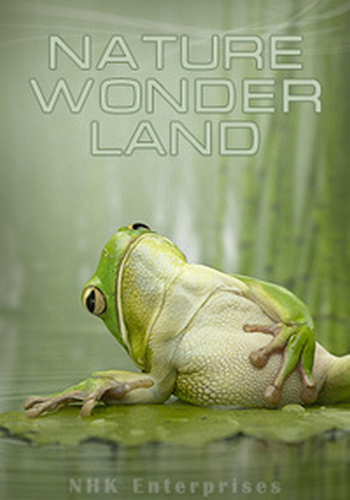 Мир живой природы VI / (13 серий из 13) / Nature Wonder Land VI VO