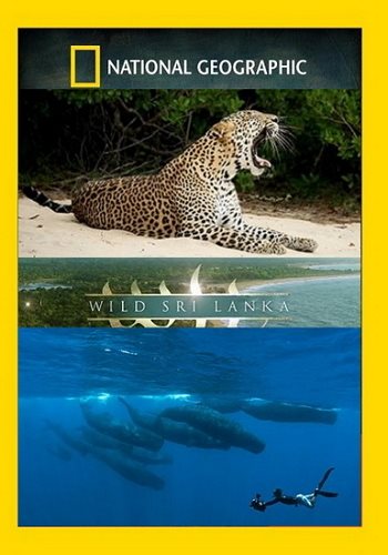 Дикая Шри Ланка (1-3 серии из 3) / Wild Sri Lanka VO