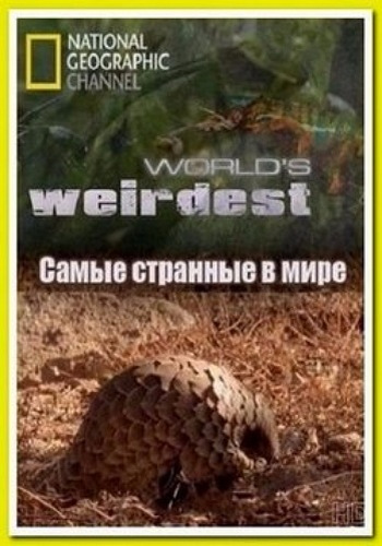 Самые странные в мире (1-5 сезоны: 27 серий) / World's Weirdest VO