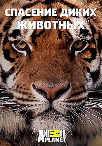 Спасение диких животных (1-3 серии) / Wild Animal Rescue DUB