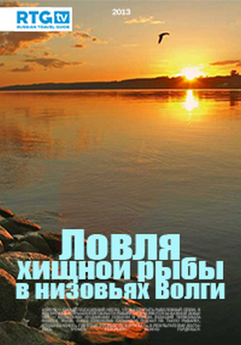 Ловля хищной рыбы в низовьях Волги