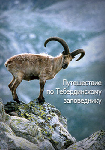 Путешествие по Тебердинскому заповеднику