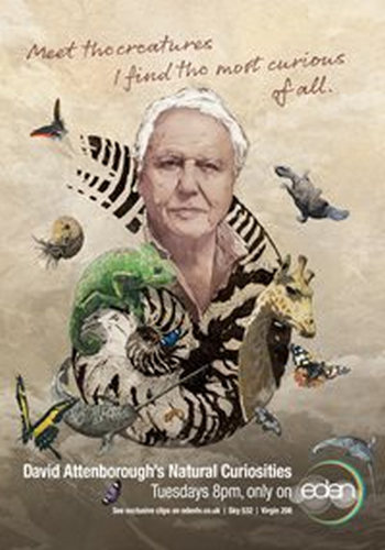 Капризы природы с Дэвидом Аттенборо (5 серий из 5) / Attenborough's Natural Curiosities VO