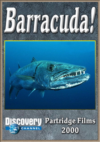 Барракуда / Discovery. Barracuda VO