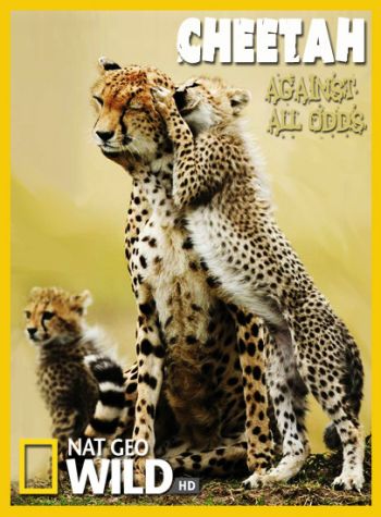 Гепарды - Наперекор всему / NAT GEO WILD. Cheetah - Against All Odds DUB