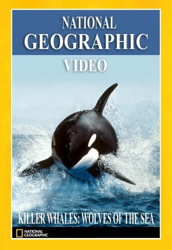 Волки моря - Касатки / National Geographic. Wolves of the sea VO