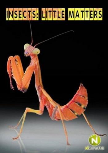 Маленькие но значительные: Насекомые / Little Matters: Insects VO