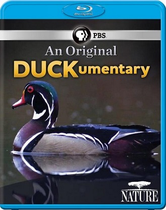 Природа - Необычный документальный фильм про уток / PBS. Nature - An Original DUCKumentary VO