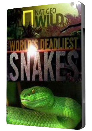 Самые опасные змеи в мире / NAT GEO WILD. World's deadliest snakes VO