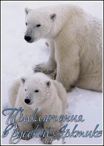 Среди белых медведей или приключения в русской Арктике / Nature. Among the Polar Bears - Adventure in Russia's Arctic VO