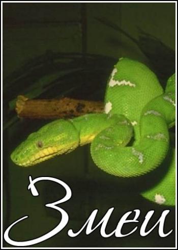 Змеи / Animal Planet. Serpent VO