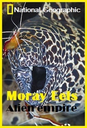 Мурены. Чужая империя / NAT GEO WILD. Moray. Alien empire VO