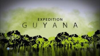Путешествие в Гайану (1-3 серии из 3) / BBC. Expedition Guyana MVO