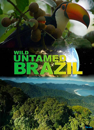 Дикая Бразилия (1-5 серии из 5) / Wild Untamed Brazil DUB