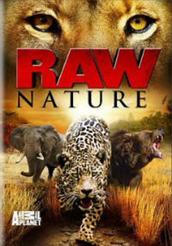 Дикая природа (1-6 фильмов из 6) / Raw Nature VO