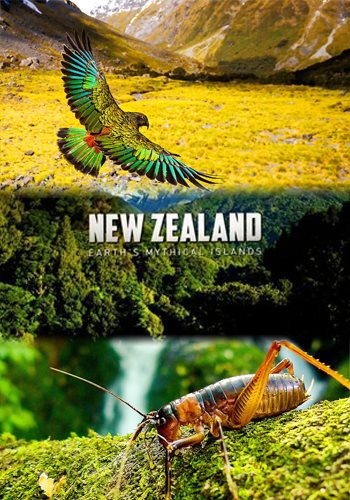 Дикая природа Новой Зеландии (1-3 серии из 3) / Wild New Zealand (New Zealand: Earth's Mythical Islands) / VO