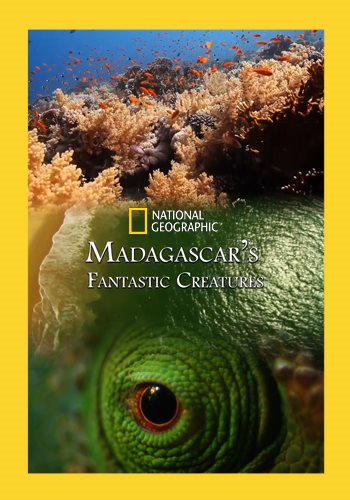 Фантастические существа Мадагаскара / Madagaskar's: Fantastic Creatures VO