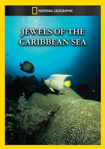 Жемчужины Карибского моря / National Geographic. Jewels of the Caribbean Sea AVO