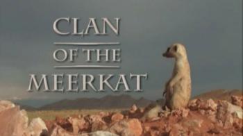 Клан сурикатов / National Geographic. Clan of the meerkat VO