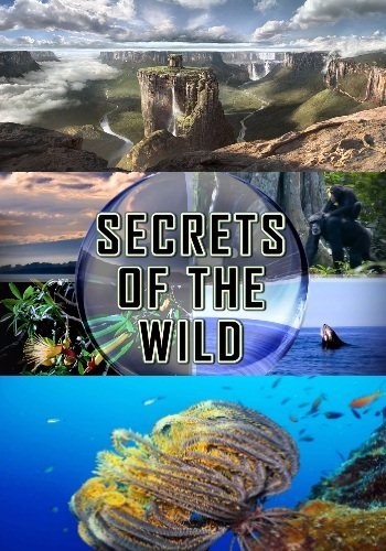 Тайны дикой природы (1-3 серии из 3) / NAT GEO WILD. Secrets Of The Wild DUB