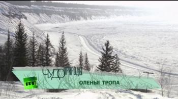 Чудо природы. Оленья тропа