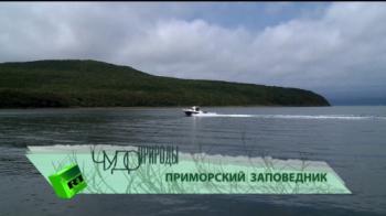 Чудо природы. Приморский заповедник