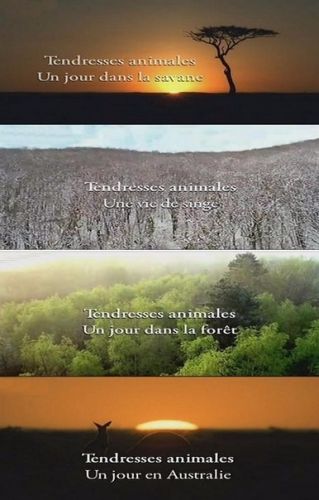Из жизни животных (1-4 серии из 4) / Tendresses animales VO