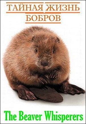 Тайная жизнь бобров / The Beaver Whisperers DVO
