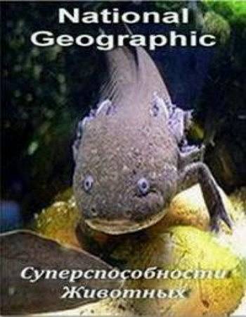 Суперспособности животных (1 сезон, 1-3 серии из 3) / NAT GEO WILD. Animal Superpowers VO