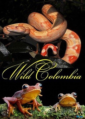 Дикая Колумбия (1-3 серии из 3) / NAT GEO WILD. Wild Colombia DUB