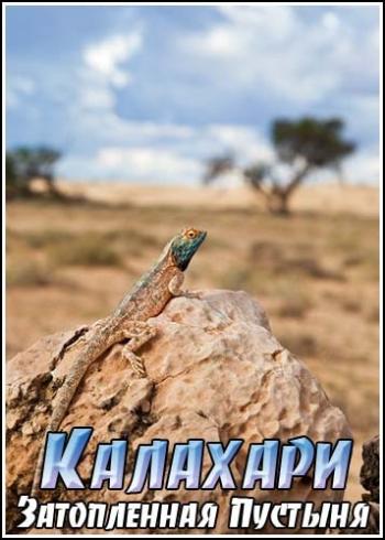 Калахари. Затопленная пустыня / National Geographic. Kalahari. The Flooded Desert VO