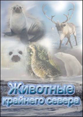 Животные Крайнего Севера / Les Animaux Du Froid / Animals of the cold VO