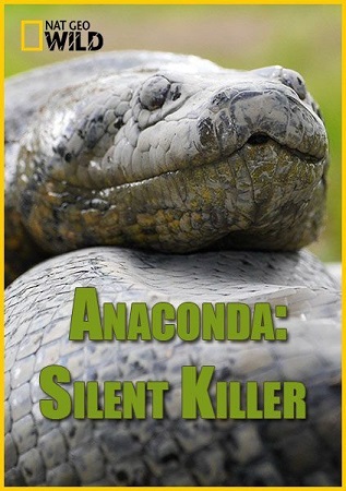 Анаконда: Тихий убийца / NAT GEO WILD. Anaconda. Silent killer DUB