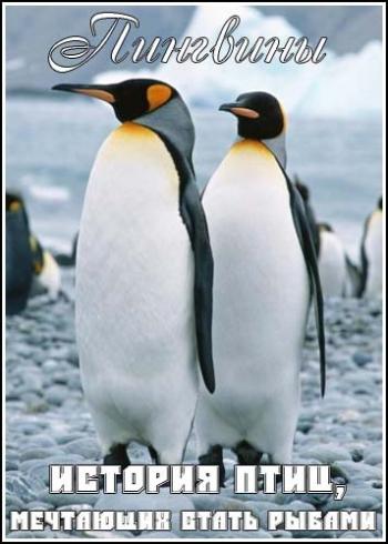 Пингвины. История птиц, мечтающих стать рыбами / Penguins. The story of the birds that wanted to be fish DVO