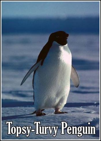 Неправильный пингвин / Viasat Nature. Topsy-Turvy Penguin VO