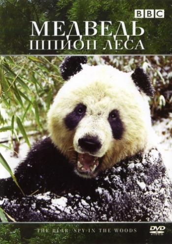 Медведь. Шпион леса / BBC. The Bear: Spy in the Woods VO