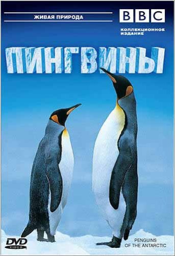 Пингвины Антарктики / BBC. Penguins of the Antarctic VO