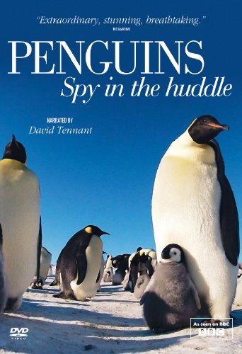 Пингвины. Шпион в стае (1-3 серии из 3) / BBC. Penguins - Spy In The Huddle DUB