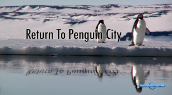 Возвращение в город пингвинов / Return to Penguin City DVO