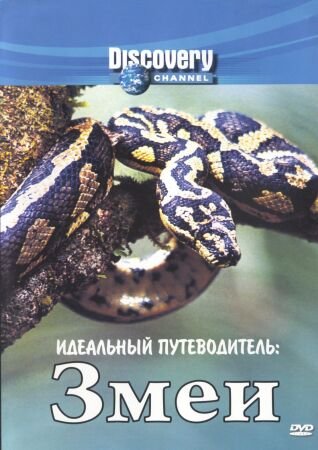Идеальный путеводитель: Змеи / Discovery. Ultimate Guide: Snakes VO