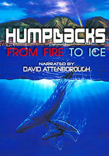 Горбатые киты. Из огня в лёд / Humpbacks. From Fire to Ice VO
