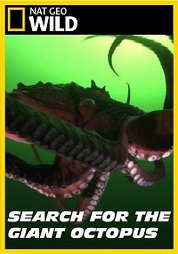 В Поисках гигантского осьминога / Search for the Giant Octopus VO